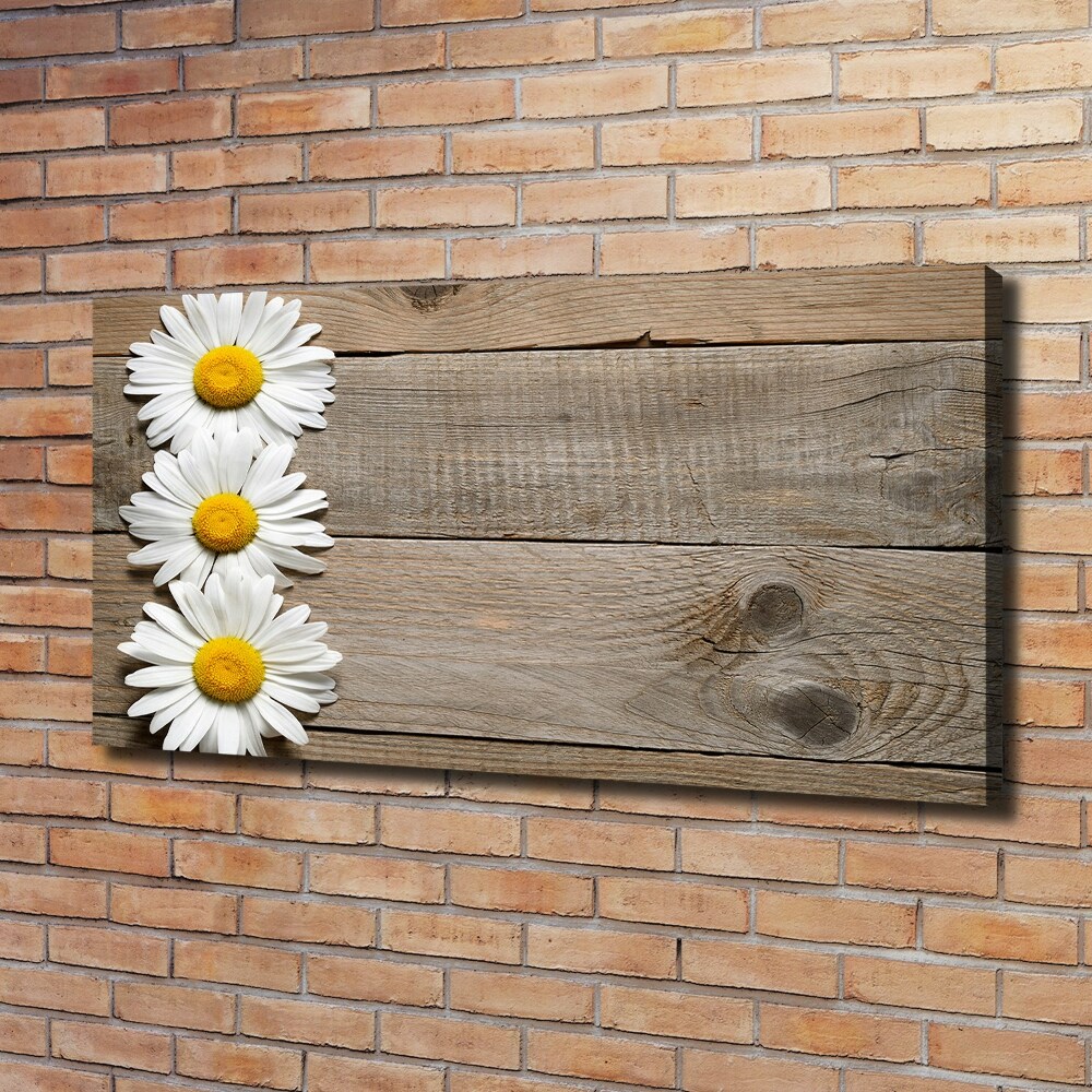 Canvas wall art Daisy wood