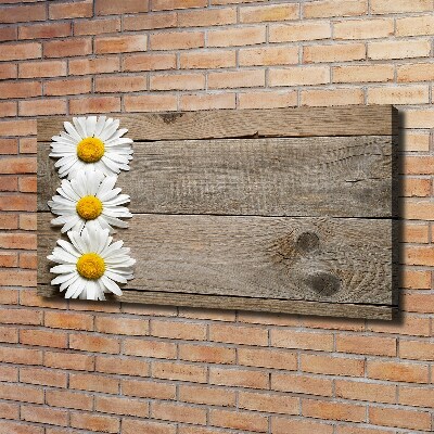 Canvas wall art Daisy wood