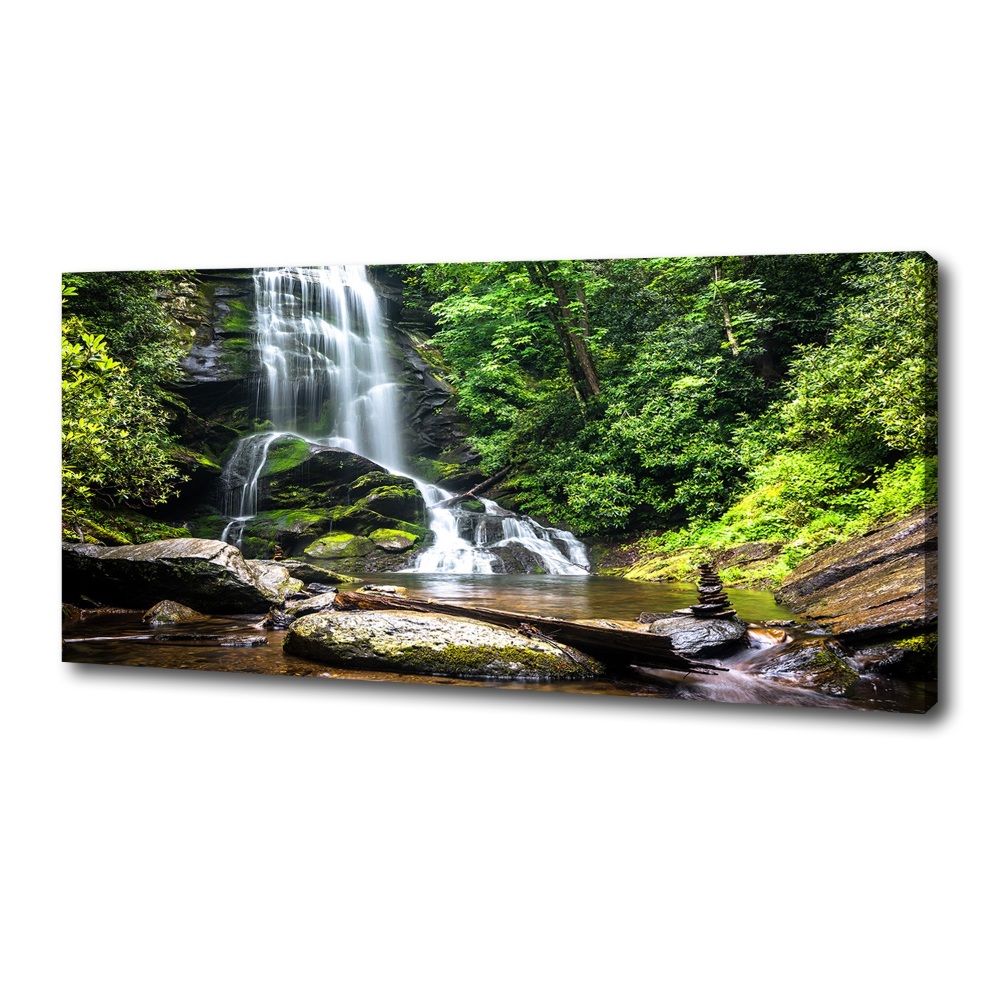 Canvas wall art Waterfall in the forest