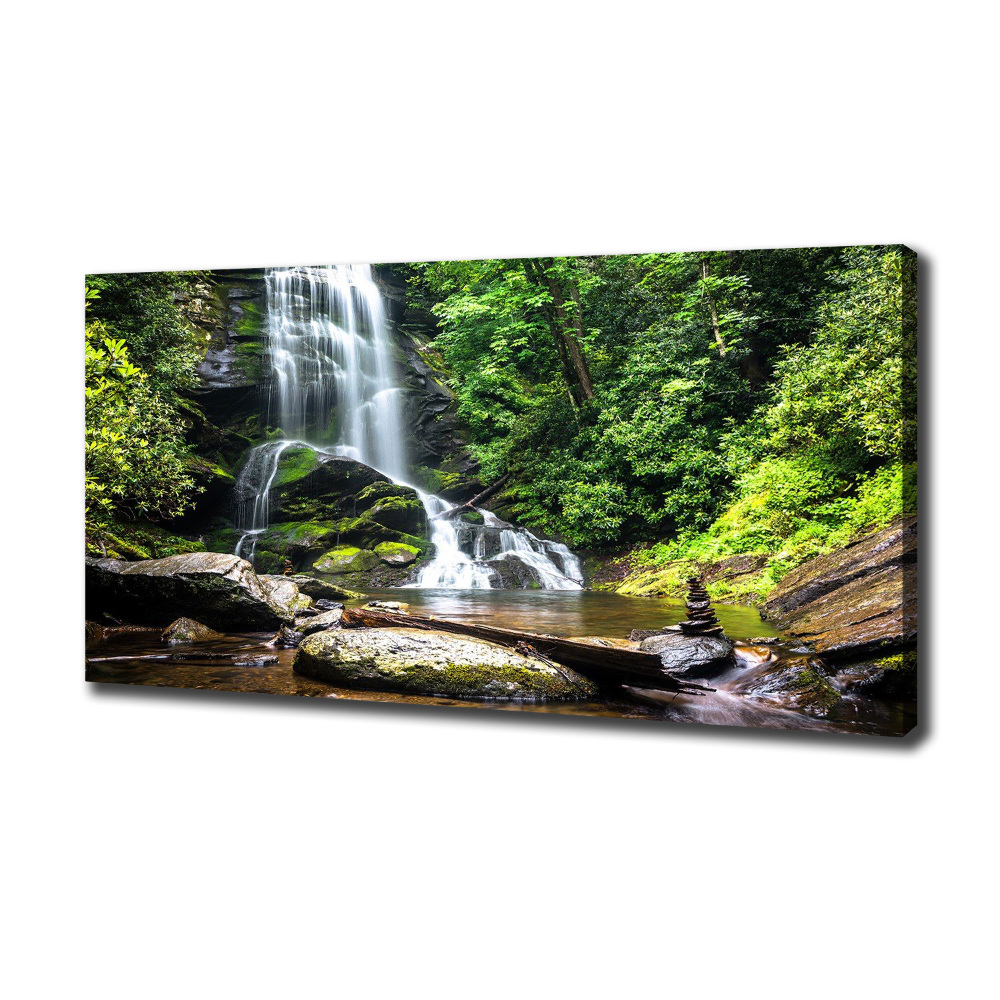 Canvas wall art Waterfall in the forest