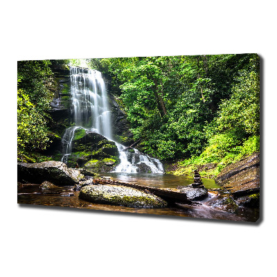 Canvas wall art Waterfall in the forest