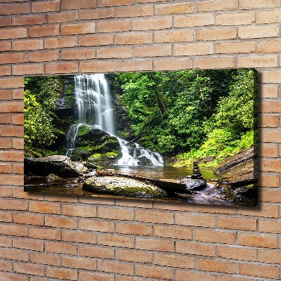 Canvas wall art Waterfall in the forest