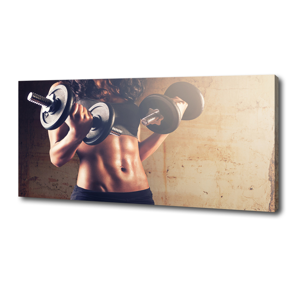 Canvas wall art Muscle structure