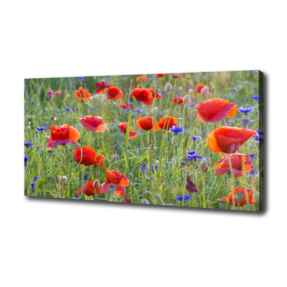 Canvas wall art Field flowers