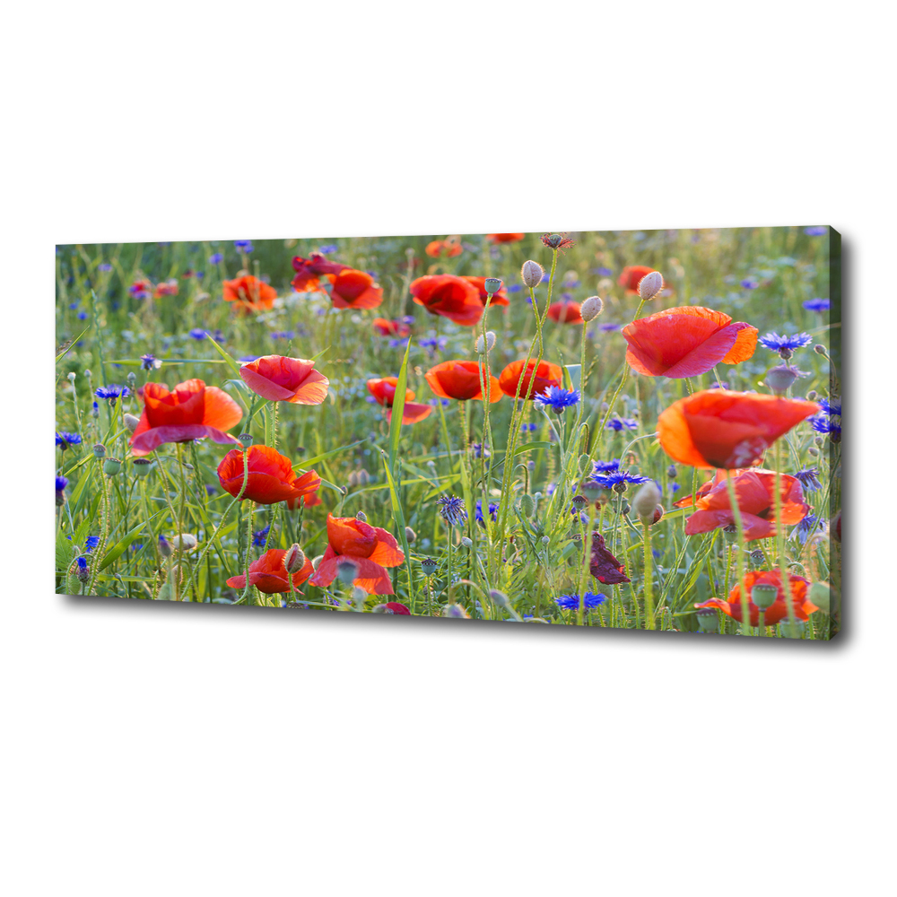 Canvas wall art Field flowers