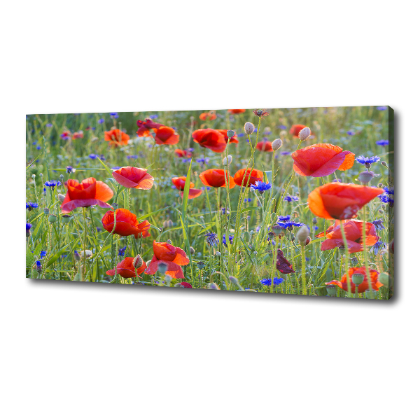 Canvas wall art Field flowers