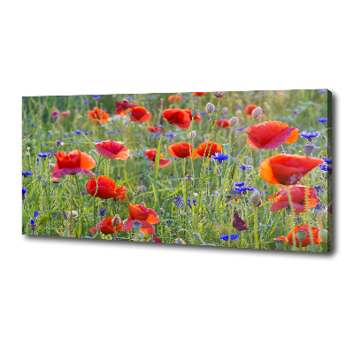 Canvas wall art Field flowers