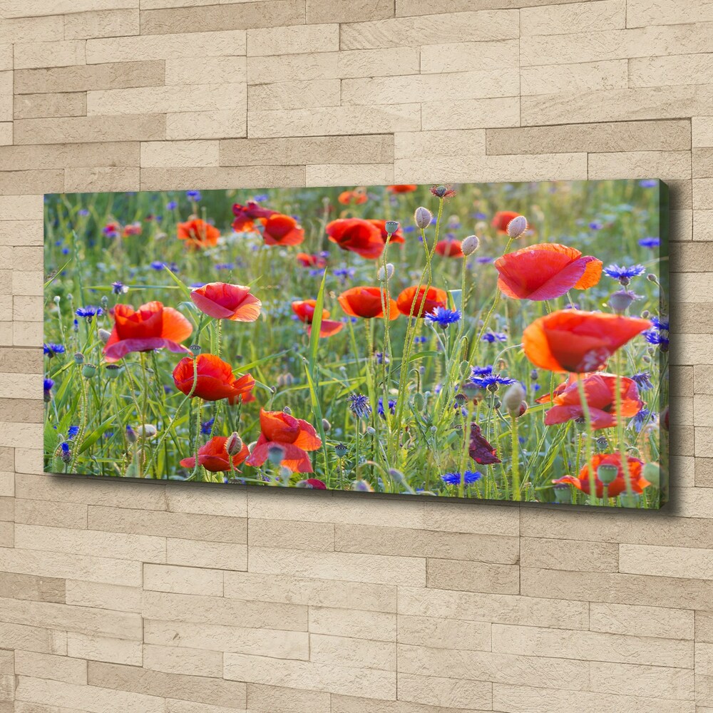 Canvas wall art Field flowers