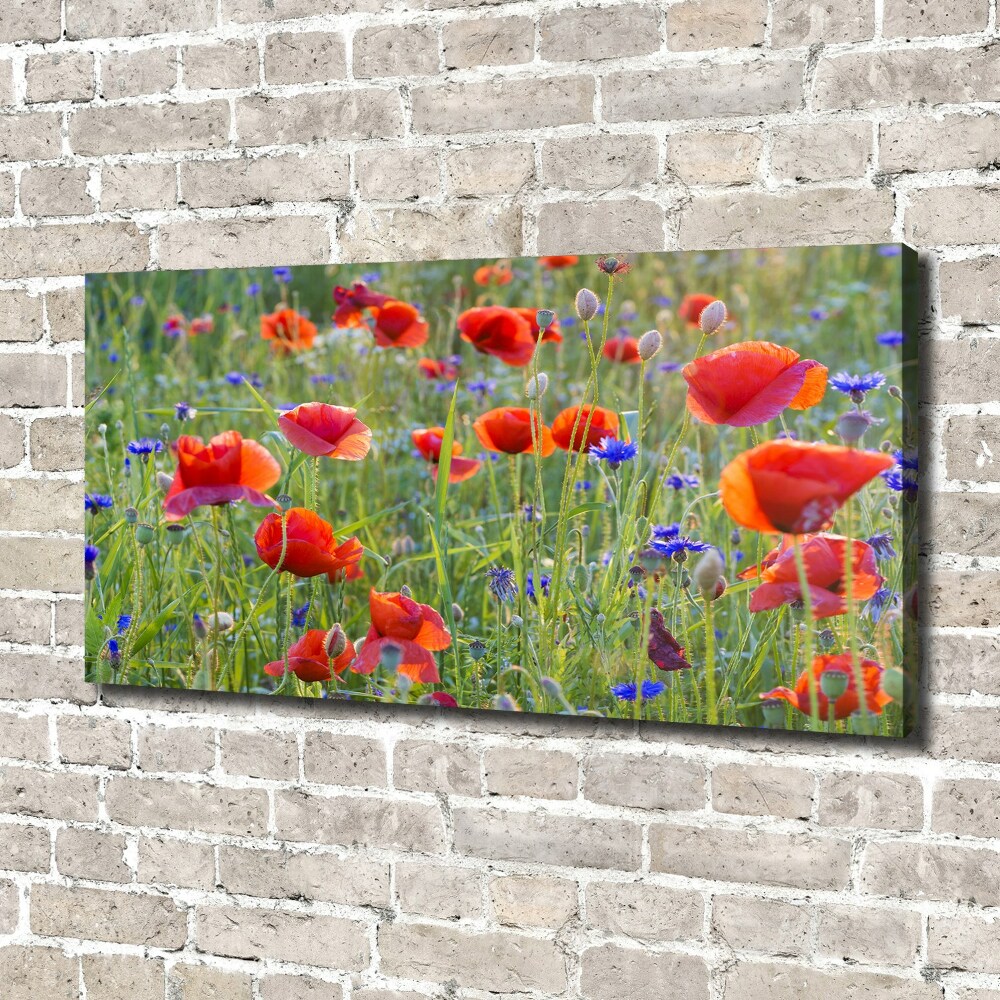 Canvas wall art Field flowers