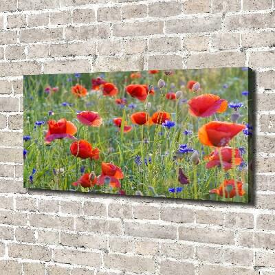 Canvas wall art Field flowers