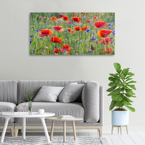 Canvas wall art Field flowers