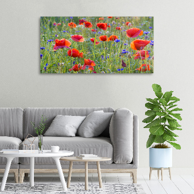 Canvas wall art Field flowers