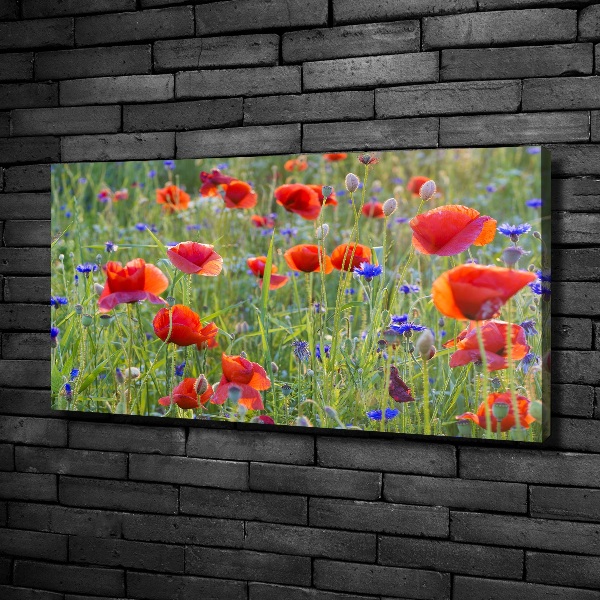 Canvas wall art Field flowers