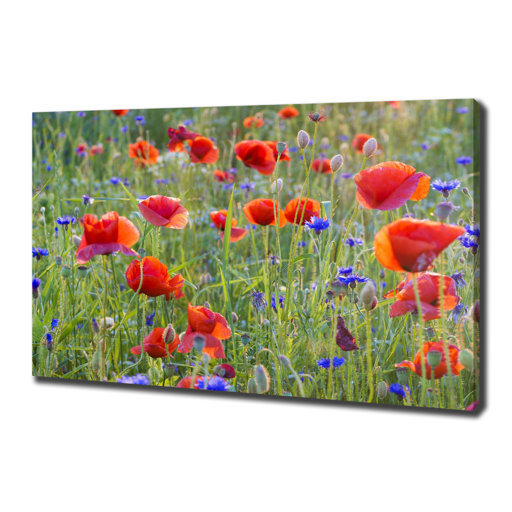 Canvas wall art Field flowers