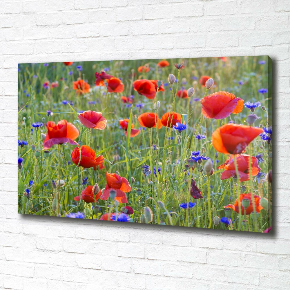 Canvas wall art Field flowers