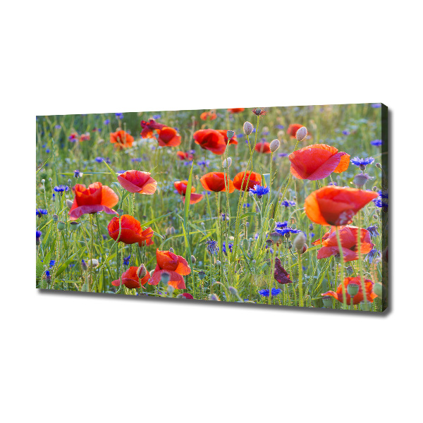 Canvas wall art Field flowers