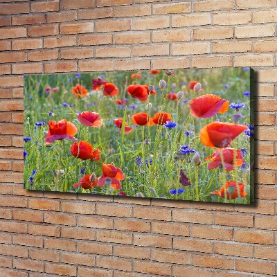 Canvas wall art Field flowers