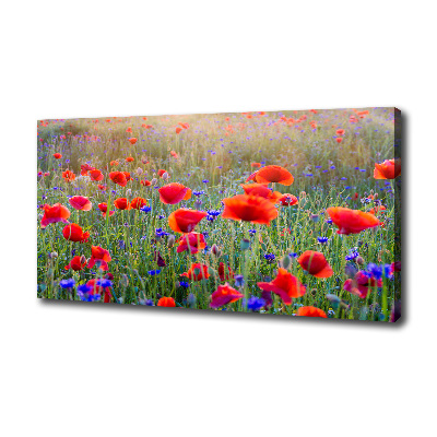 Canvas wall art Field flowers