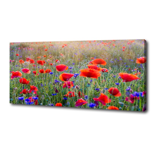 Canvas wall art Field flowers