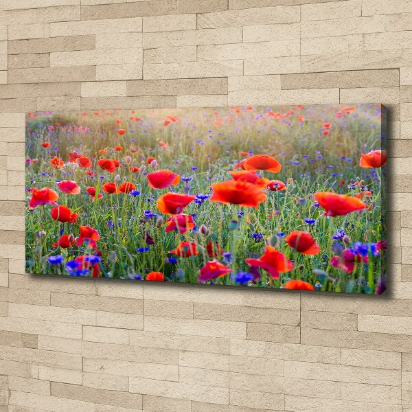 Canvas wall art Field flowers