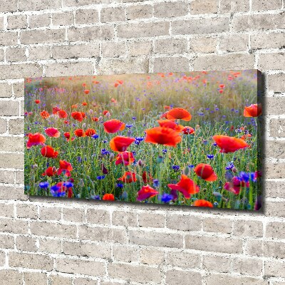 Canvas wall art Field flowers