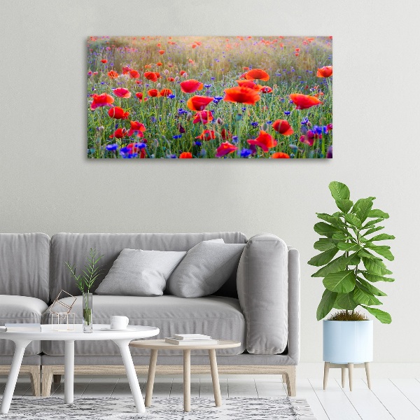 Canvas wall art Field flowers