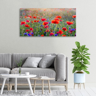 Canvas wall art Field flowers