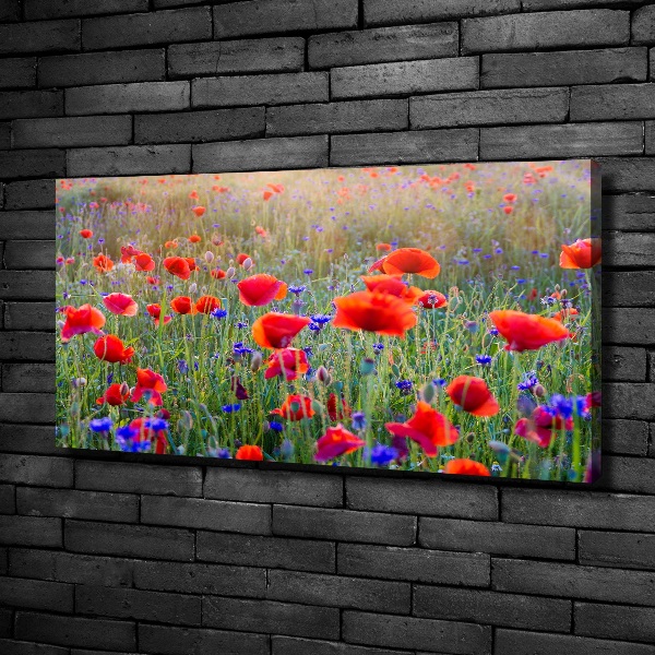 Canvas wall art Field flowers