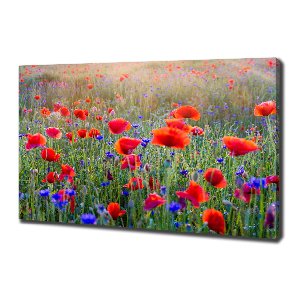 Canvas wall art Field flowers