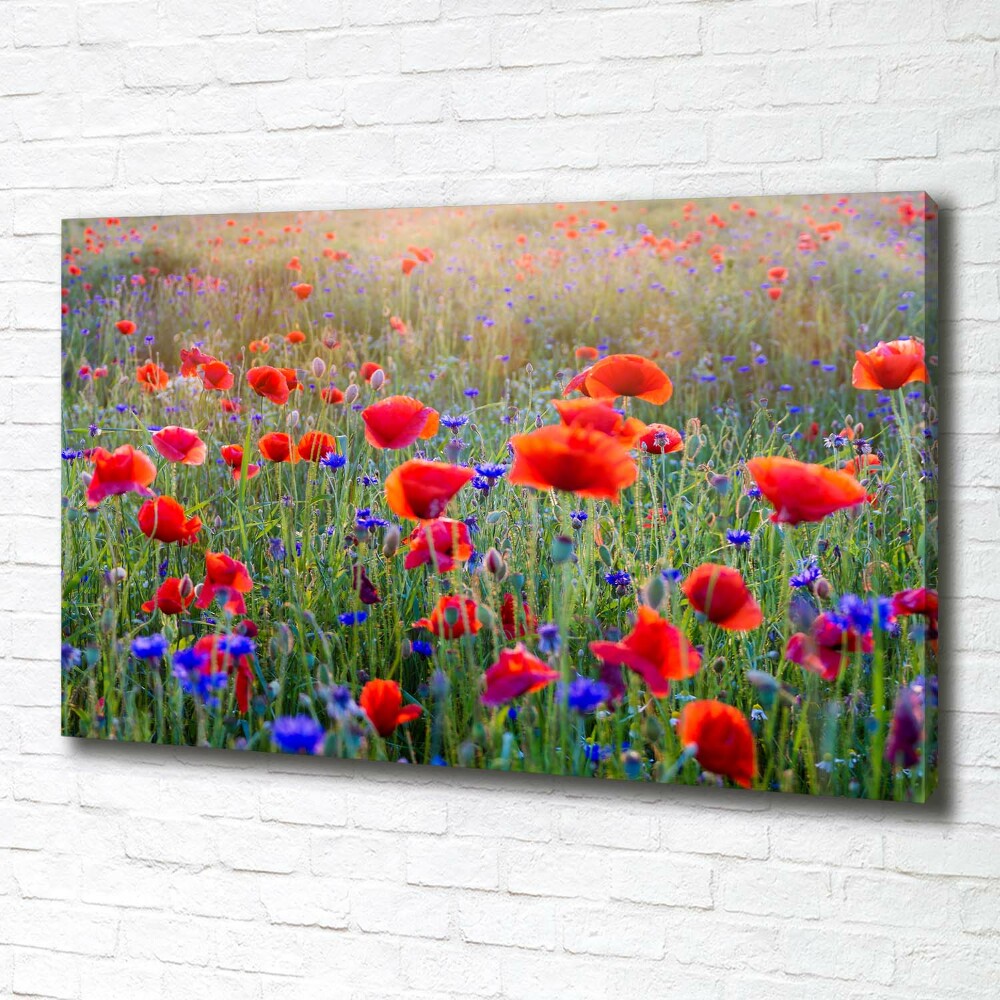 Canvas wall art Field flowers