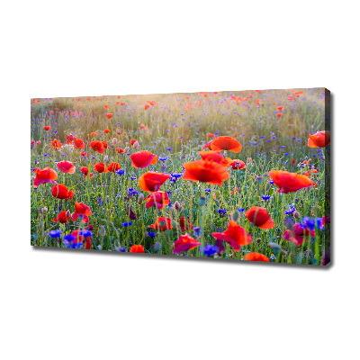 Canvas wall art Field flowers