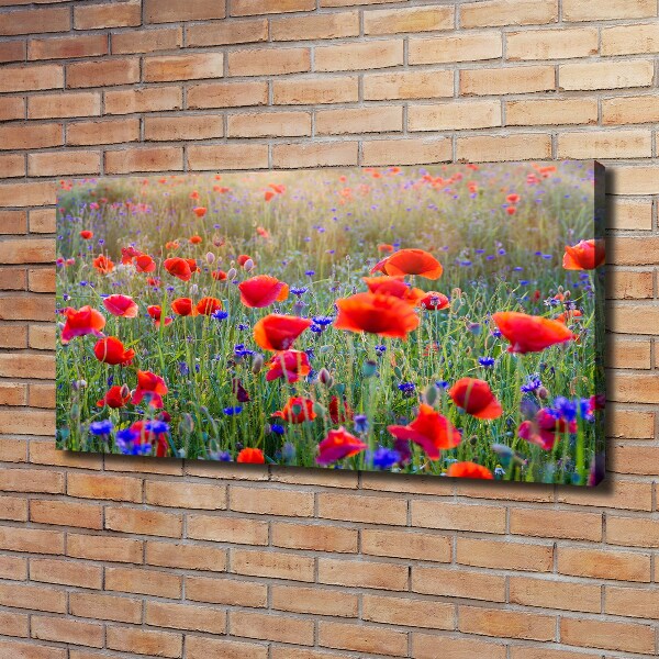 Canvas wall art Field flowers