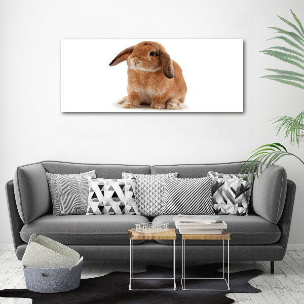 Canvas wall art Rabbit ore