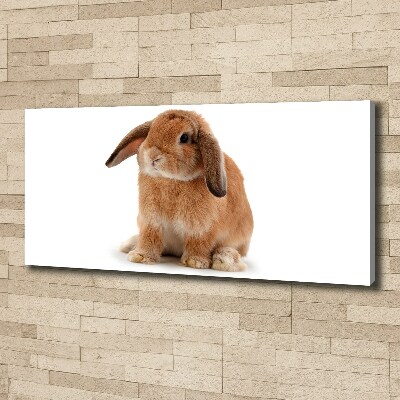 Canvas wall art Rabbit ore