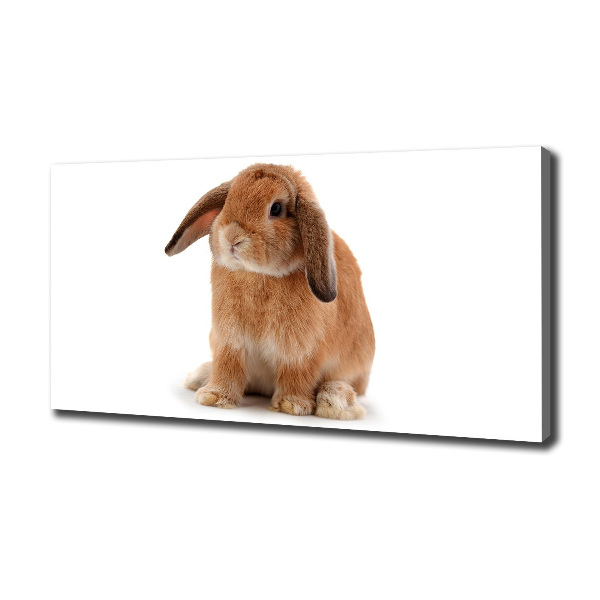 Canvas wall art Rabbit ore