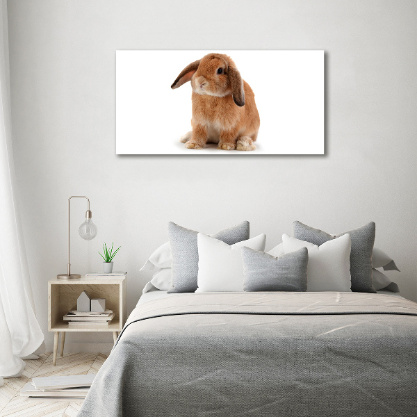 Canvas wall art Rabbit ore