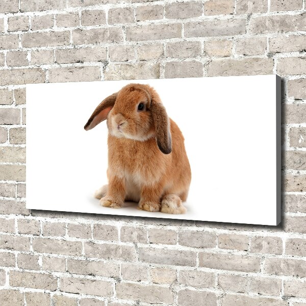 Canvas wall art Rabbit ore