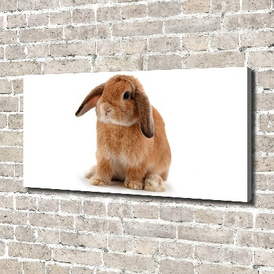 Canvas wall art Rabbit ore