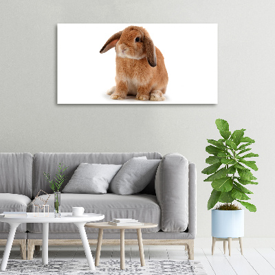 Canvas wall art Rabbit ore