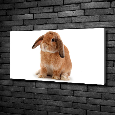 Canvas wall art Rabbit ore