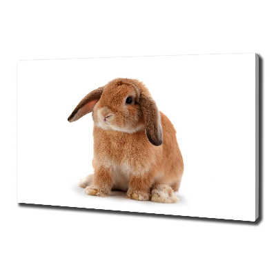 Canvas wall art Rabbit ore