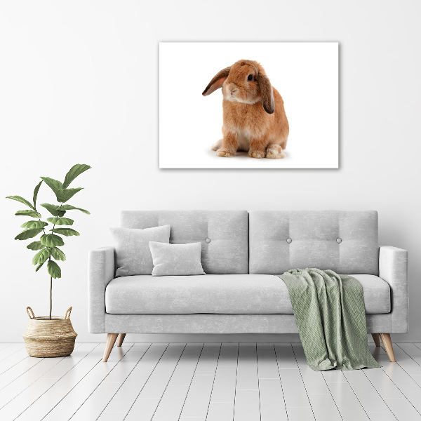 Canvas wall art Rabbit ore