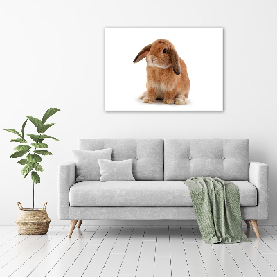 Canvas wall art Rabbit ore