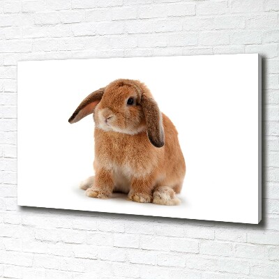 Canvas wall art Rabbit ore