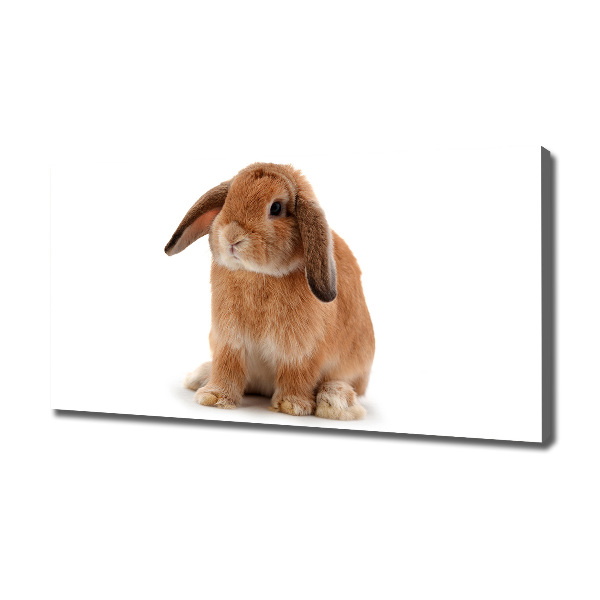 Canvas wall art Rabbit ore