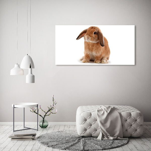 Canvas wall art Rabbit ore