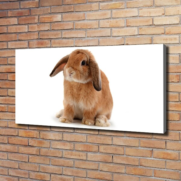 Canvas wall art Rabbit ore