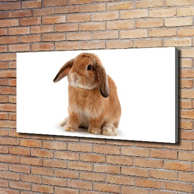 Canvas wall art Rabbit ore