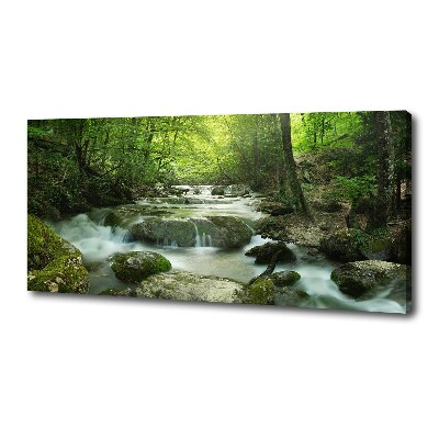 Canvas wall art Waterfall in the forest