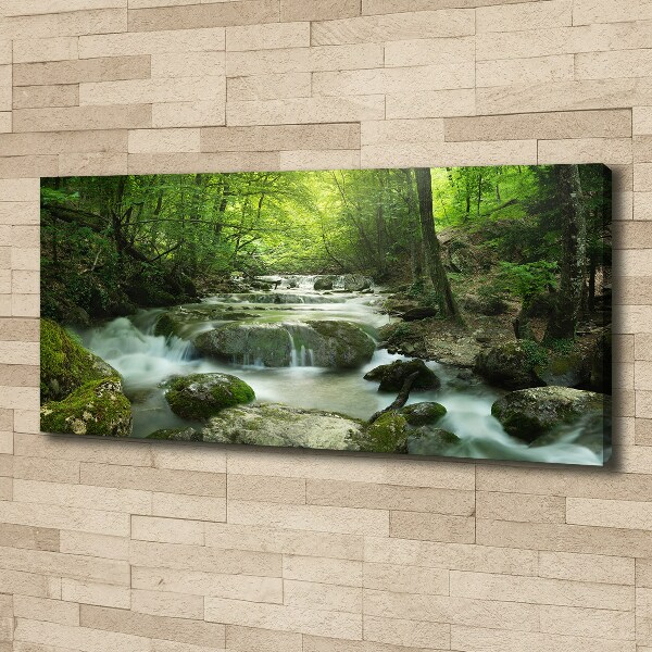 Canvas wall art Waterfall in the forest